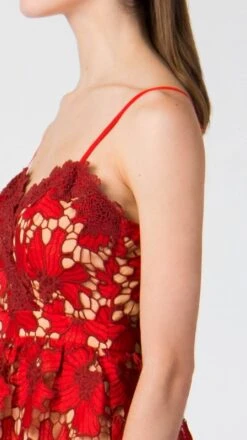 Champagne & Strawberries Lace Tiered Midi-Dress -Hippie Vibe Tribe Shop 11503016 1faf454d 83ea 453a a9ba 3d3285cd4605 1