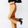 Block Brown & Taupe Pants