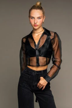Long Sleeve Collared Sheer Crop Top