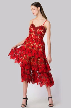 Champagne & Strawberries Lace Tiered Midi-Dress