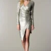 Silver Beauty Party Dress