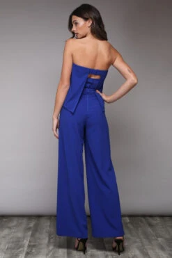 Cobalt Blue Strapless Jumpsuit With Three Band Back -Hippie Vibe Tribe Shop 8061984 990a69c6 b225 4ee5 b433 fd209f1b8ec3